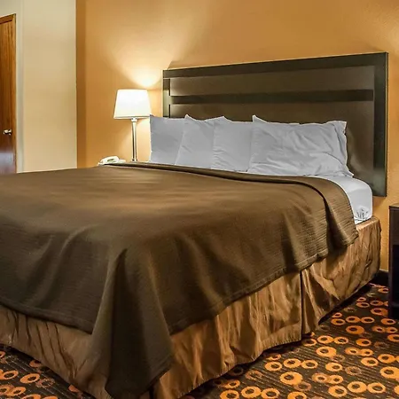 Econo & South 5*